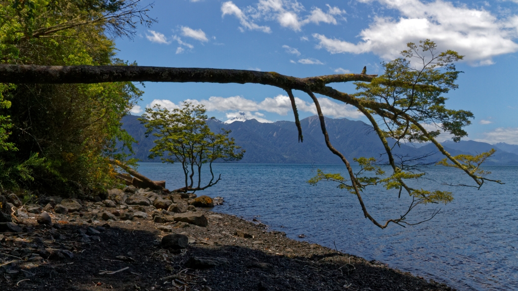 10 - Puerto Varas (5).jpg